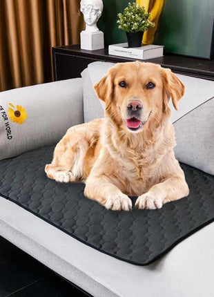 Alfombrillas impermeables para perros que absorben el agua
