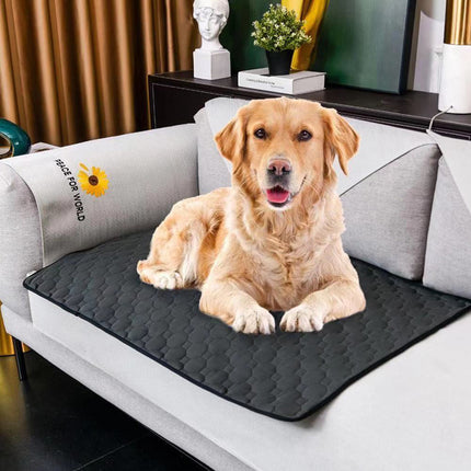 Waterproof Dog Mats Water-absorbing Dog