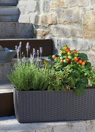 Self-Watering Rattan Planter