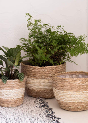 Cesta para plantar con marco de flores y maceta de paja