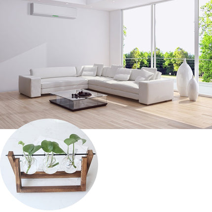 Creative Wooden Frame Hydroponic Glass Flower Plant Green