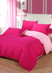 Rose Ruby / 1.2m
