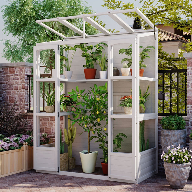 TOPMAX 78-inch Wooden Greenhouse Cold Frame