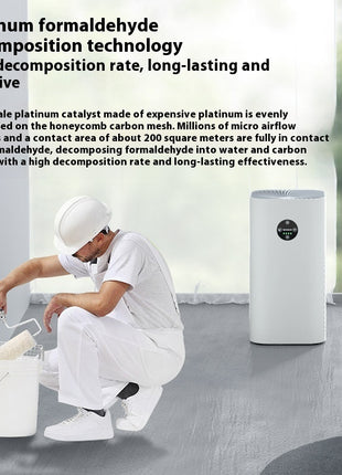 Air Purifier with Ionizer
