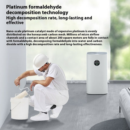 Air Purifier with Ionizer