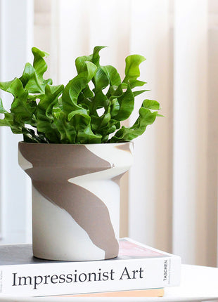 Creative Ceramic Succulent Planter