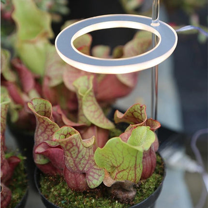 Full Spectrum LED Grow Light ⭐