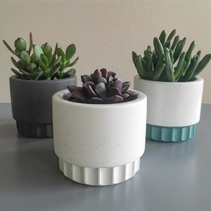 Plant potted mold silica gel