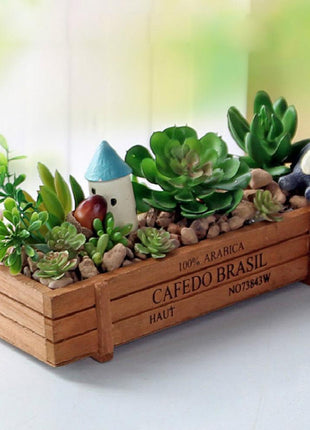 Wooden Plant Seeds Box