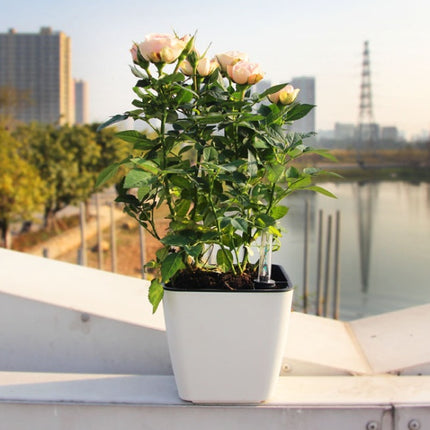 Smart absorbent plastic flower pot