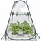 Green for your garden