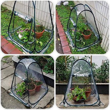 Outdoor Garden Plants And Flowers Antifreeze Greenhouse