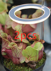 As shown 2pcs / USB