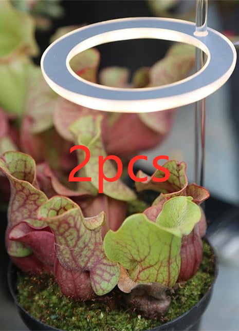 Lámpara de cultivo LED de espectro completo Phyto Grow Lamp USB Phyto