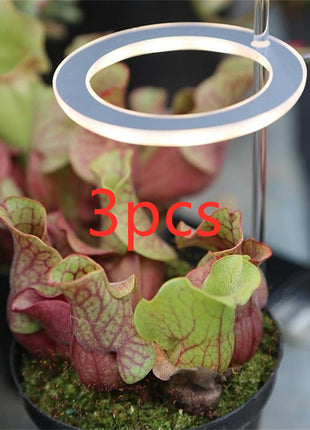 Full Spectrum LED Grow Light ⭐