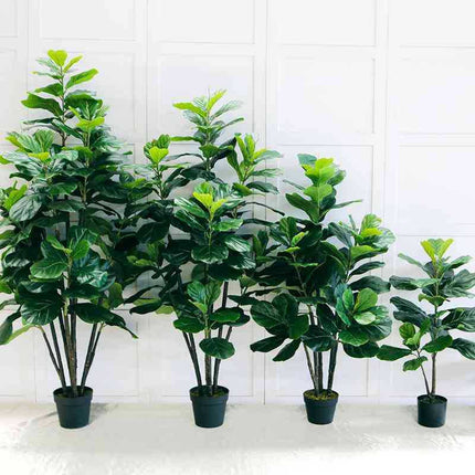 Simulation Plant Qin Yerong Living Room Decoration