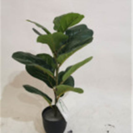Simulation Plant Qin Yerong Living Room Decoration