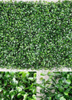 Green / A
