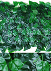 Green / B