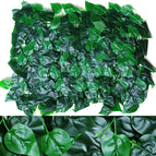 Green / B