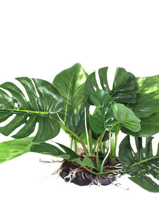 Simulación de caja de reptiles Planta de simulación de plantas acuáticas