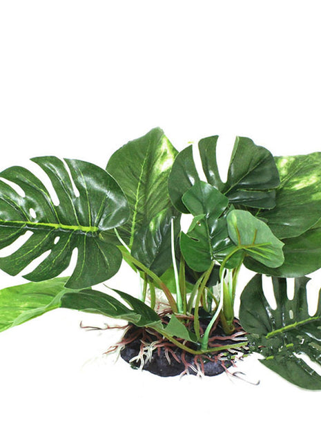 Simulación de caja de reptiles Planta de simulación de plantas acuáticas