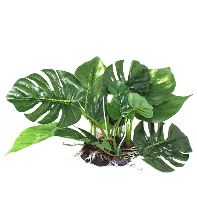 Reptile Box Simulation Plant Aquatic Plants