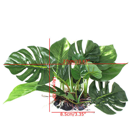 Reptile Box Simulation Plant Aquatic Plants Simulation