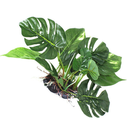 Reptile Box Simulation Plant Aquatic Plants Simulation