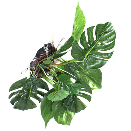 Reptile Box Simulation Plant Aquatic Plants Simulation