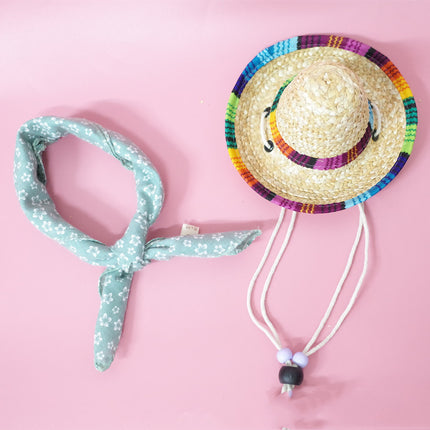 Conjunto de accesorios para mascotas para salidas de verano