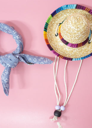 Conjunto de accesorios para mascotas para salidas de verano