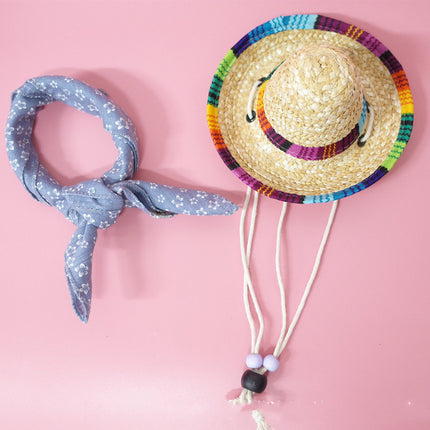 Conjunto de accesorios para mascotas para salidas de verano