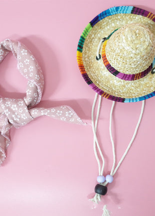 Conjunto de accesorios para mascotas para salidas de verano