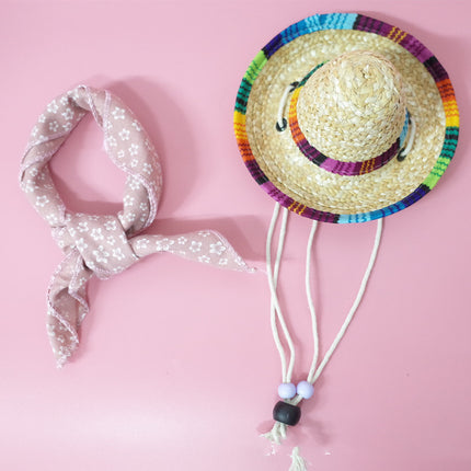 Conjunto de accesorios para mascotas para salidas de verano