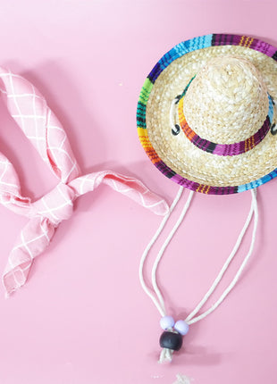 Conjunto de accesorios para mascotas para salidas de verano