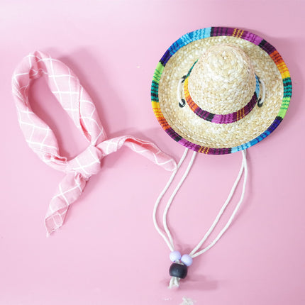 Conjunto de accesorios para mascotas para salidas de verano