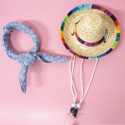 Conjunto de accesorios para mascotas para salidas de verano