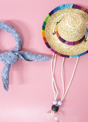 Conjunto de accesorios para mascotas para salidas de verano