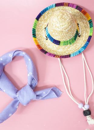 Conjunto de accesorios para mascotas para salidas de verano