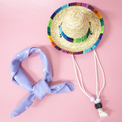 Conjunto de accesorios para mascotas para salidas de verano