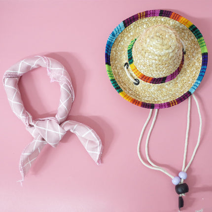 Conjunto de accesorios para mascotas para salidas de verano