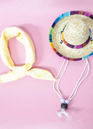 Conjunto de accesorios para mascotas para salidas de verano