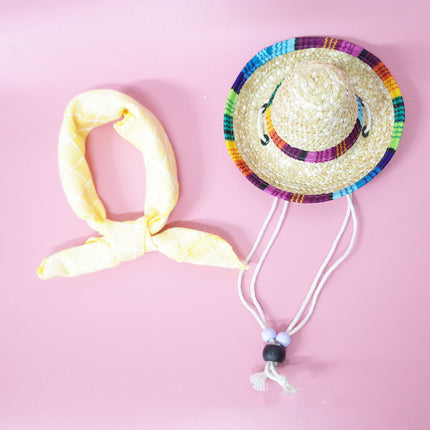 Conjunto de accesorios para mascotas para salidas de verano