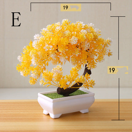 Simulation Plant Bonsai Simulation Small