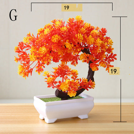 Simulation Plant Bonsai Simulation Small
