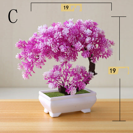 Simulation Plant Bonsai Simulation Small