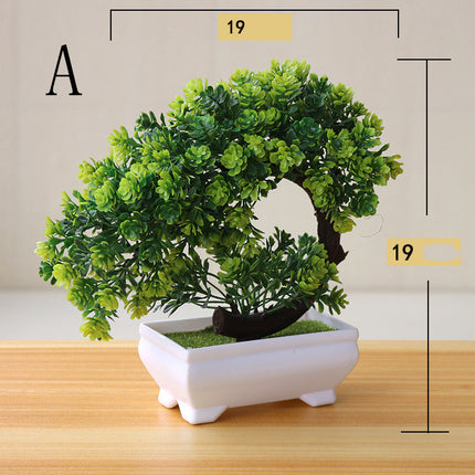 Simulation Plant Bonsai Simulation Small