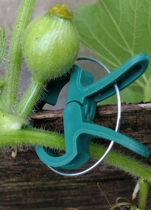 Plant Support Clips
