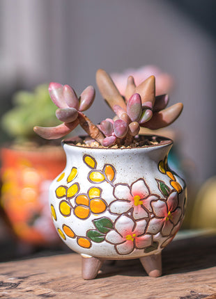 Mini macetas de cerámica pequeñas y creativas para plantas verdes de interior